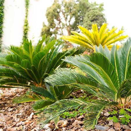 Agriturismo La Dimora Dei Re Sanremo Eksteriør billede