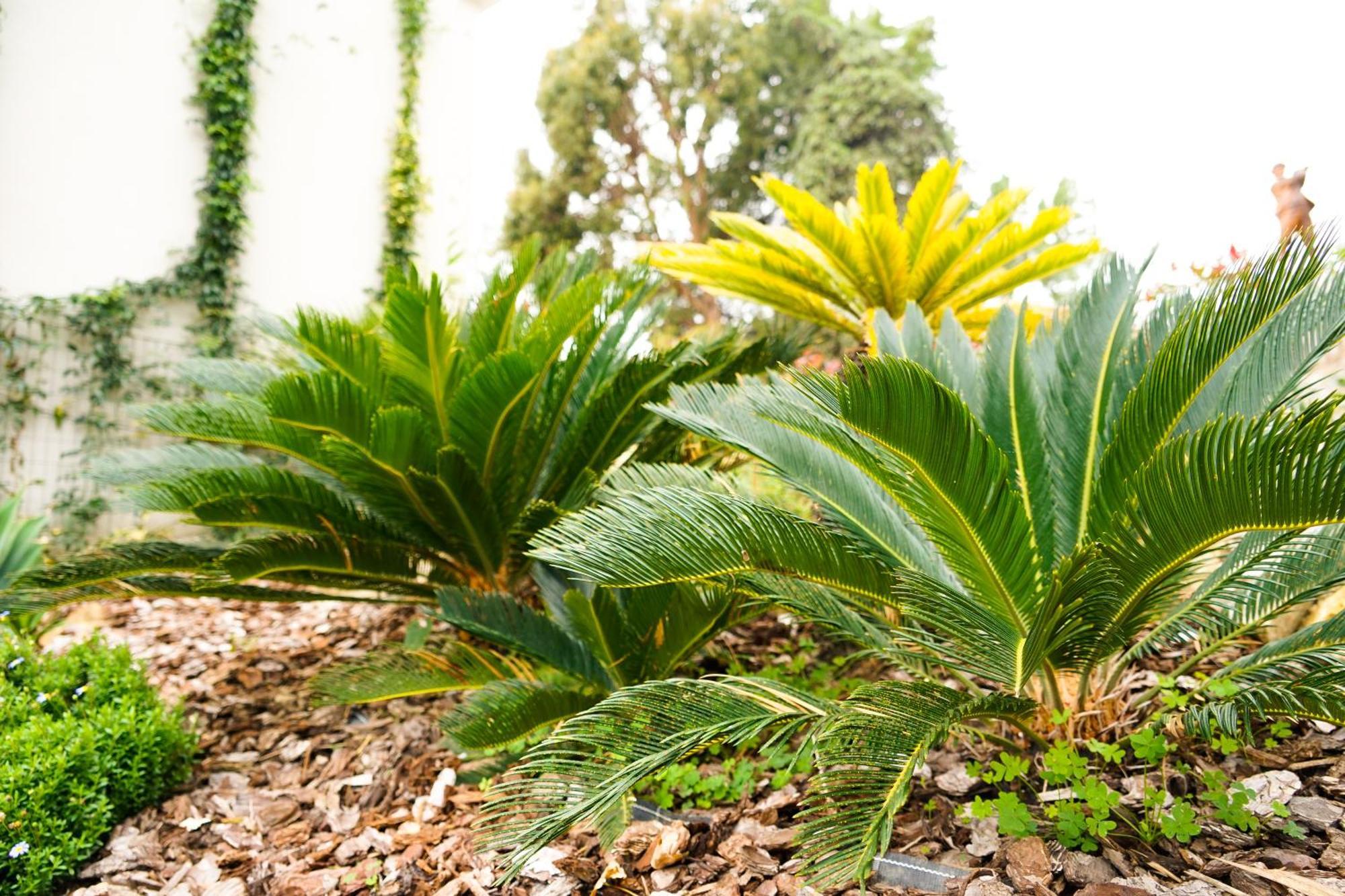 Agriturismo La Dimora Dei Re Sanremo Eksteriør billede